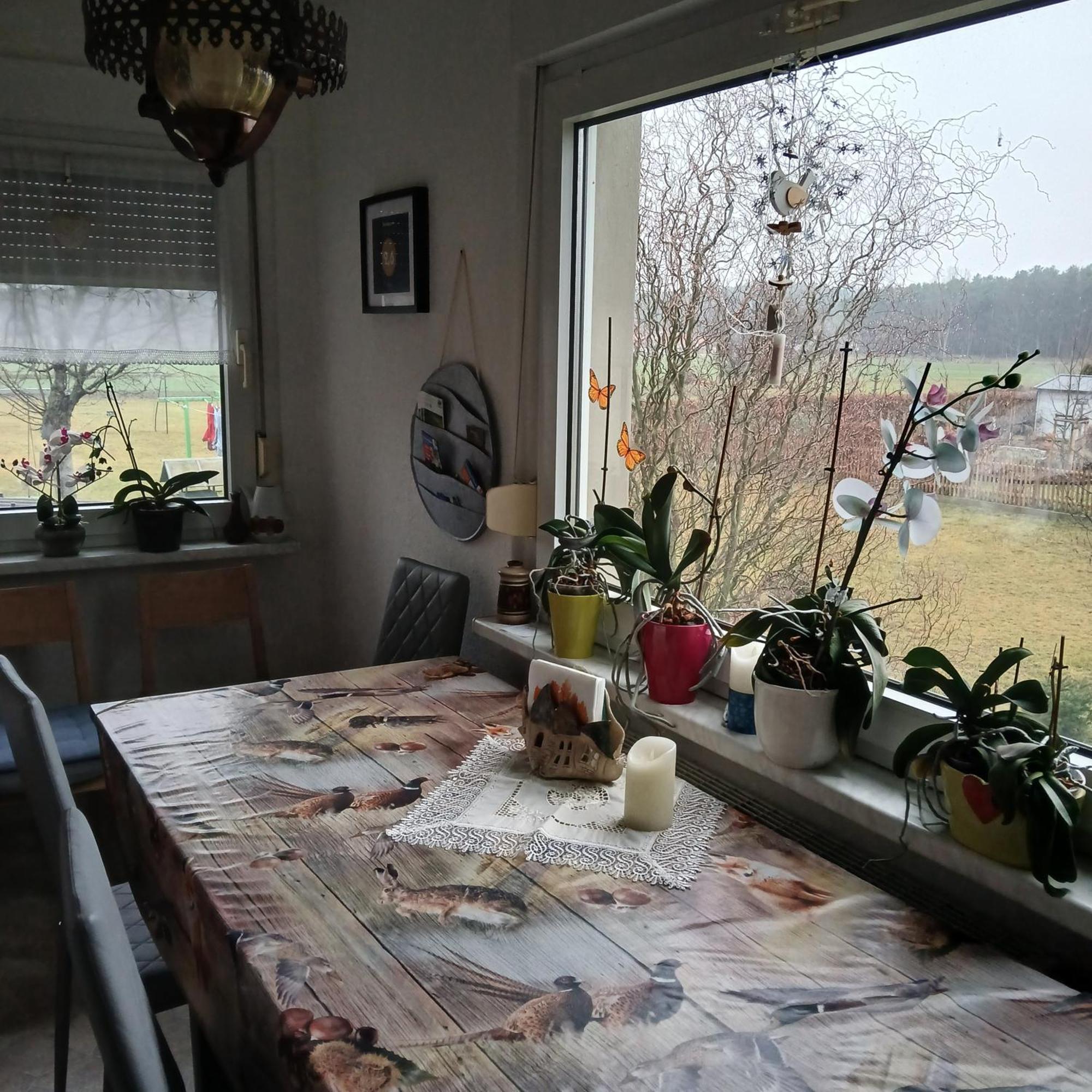 Maja Villa Guhrow Exteriör bild